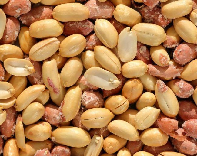 Protein rich foods-1-2-3-4-5-6-7