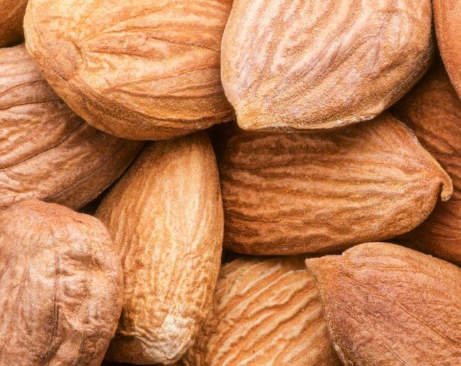 Protein rich foods-1-2-3-4-5-6-7-8-9-10-11