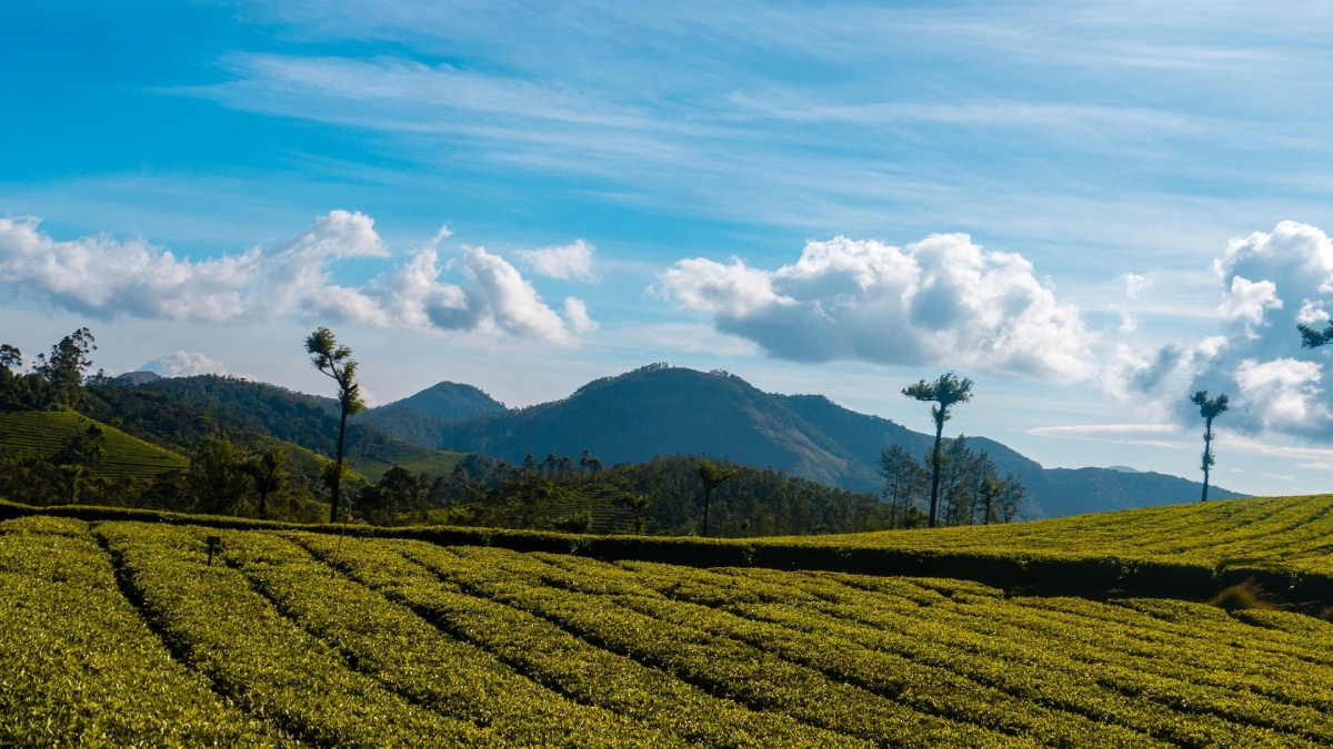 Budget Trip In India-1-2-3-4