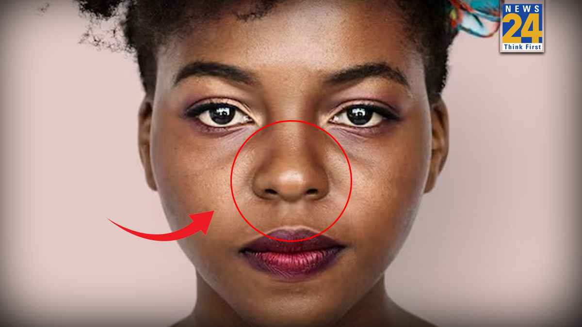 Round Nose: भाग्यशाली लोगों की होती है 'गोल नाक', सामुद्रिक शास्त्र से जानें शुभ संकेत