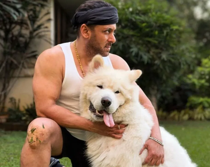 salman khan pet sukh-1-2-3