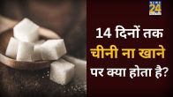 No Sugar Effects