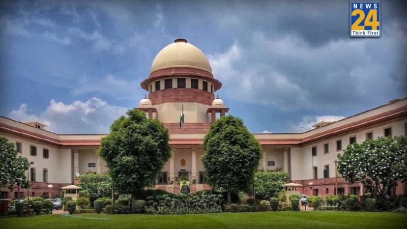 Supreme Court Decision on street dogs