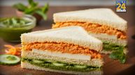 Tiranga Sandwich Recipe