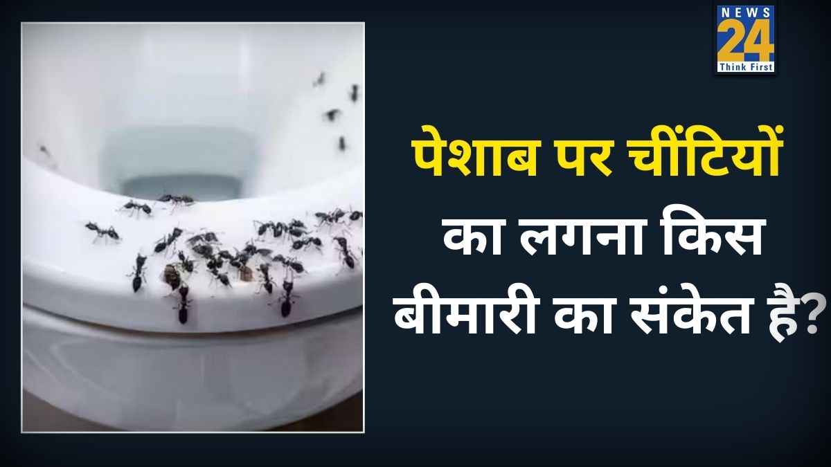 अगर आपके पेशाब पर भी लग रही हैं चींटियां तो शरीर दे रहा है इस गंभीर बीमारी का संकेत