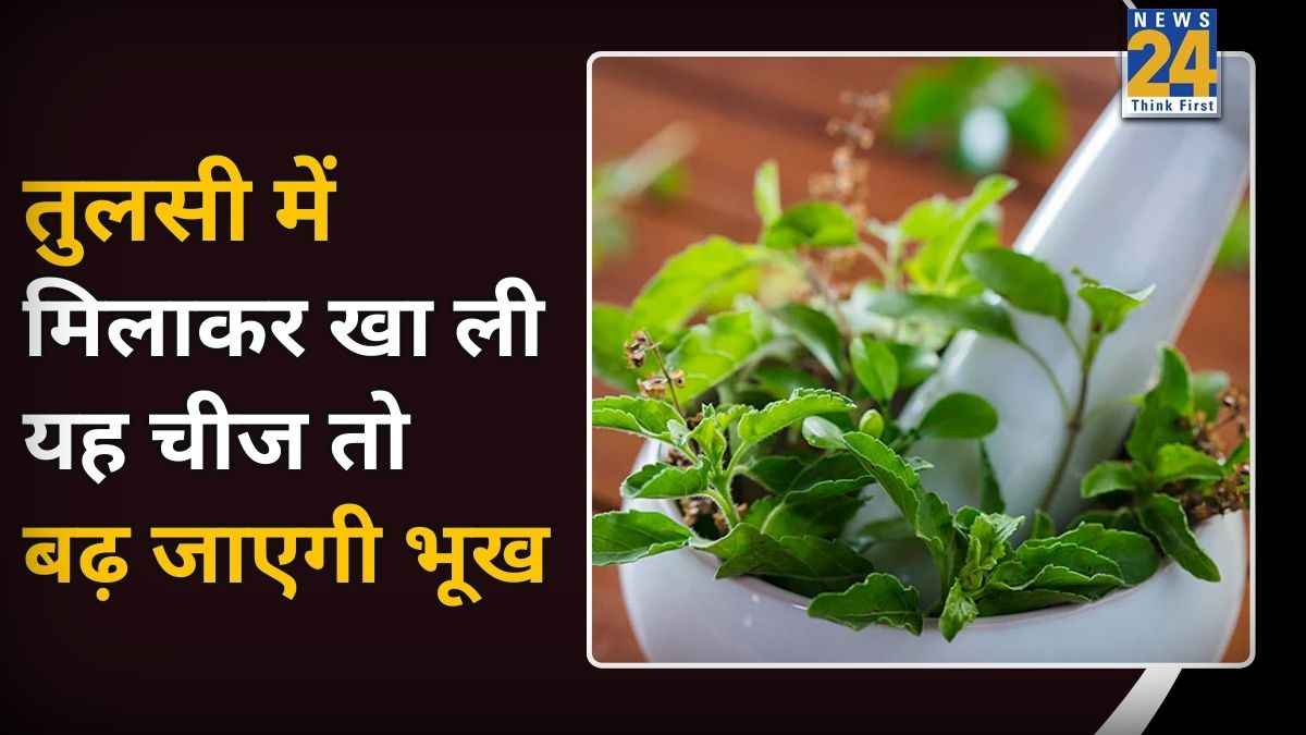 भूख बढ़ाने के लिए क्या करें? आचार्य बालकृष्ण ने कहा तुलसी में मिलाकर खा लें ये चीज, बच्चों और बड़ों सबको मिलेगा फायदा
