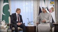 UAE President and Shahbaz Sharif
