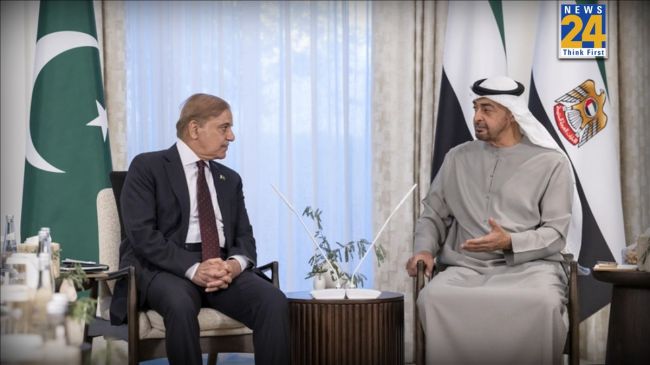 UAE President and Shahbaz Sharif