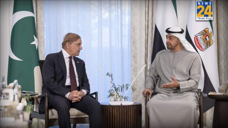 UAE President and Shahbaz Sharif