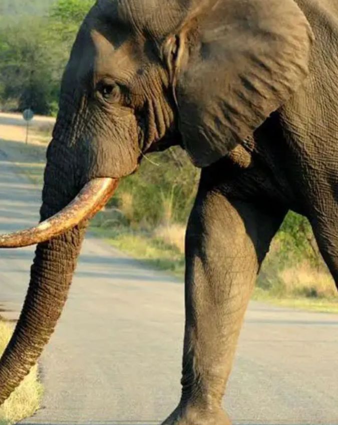 Swapna Shastra-1-2-3-4-5-6-7