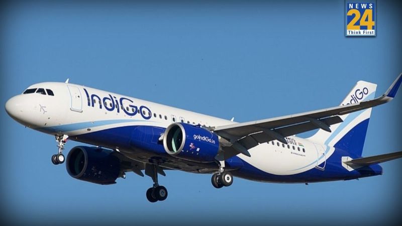 Indigo Iran Indigo Iran