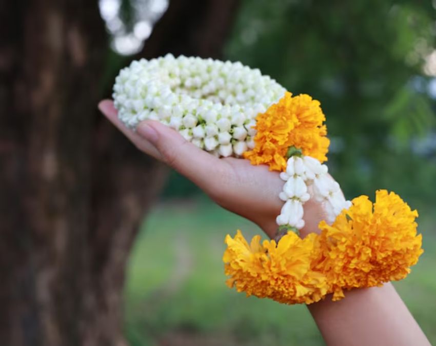 Sukhe Hue Gajre-1-2-3-4-5-6