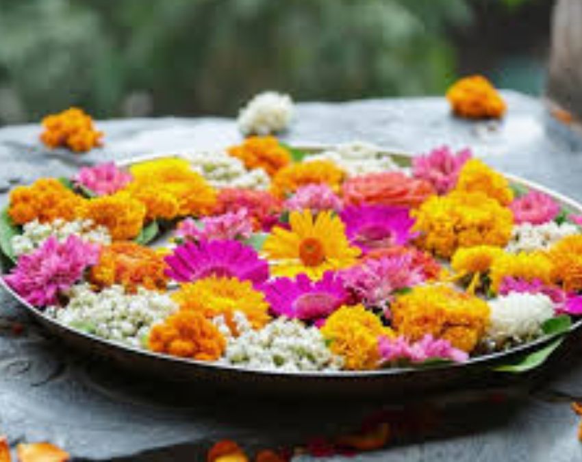 Sukhe Hue Gajre-1-2-3