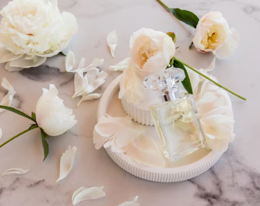 Sukhe Hue Gajre-1-2-3-4-5