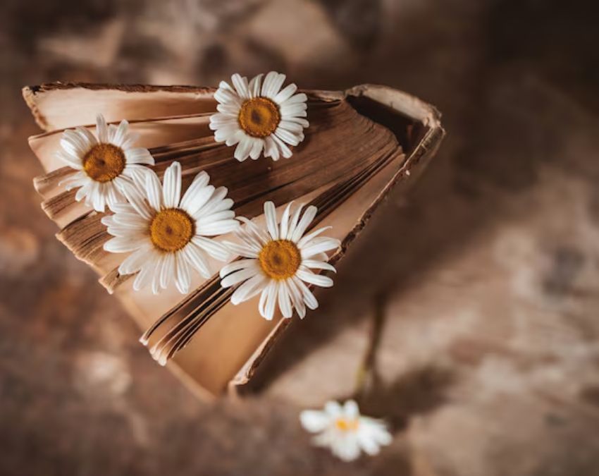 Sukhe Hue Gajre-1-2-3-4