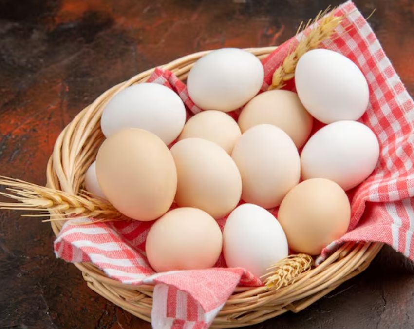 100 Gm Protein Diet Low Budget-1-2