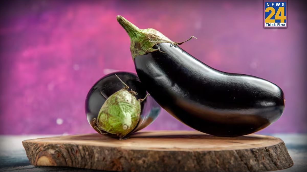 Brinjal Buying Tips-1