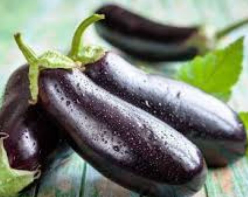 Brinjal Buying Tips-1-2-3-4-5