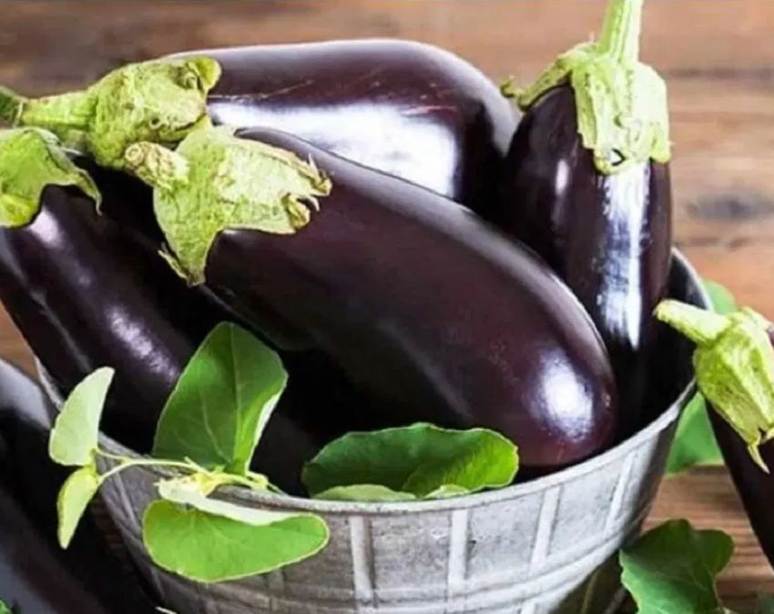 Brinjal Buying Tips-1-2-3-4-5-6