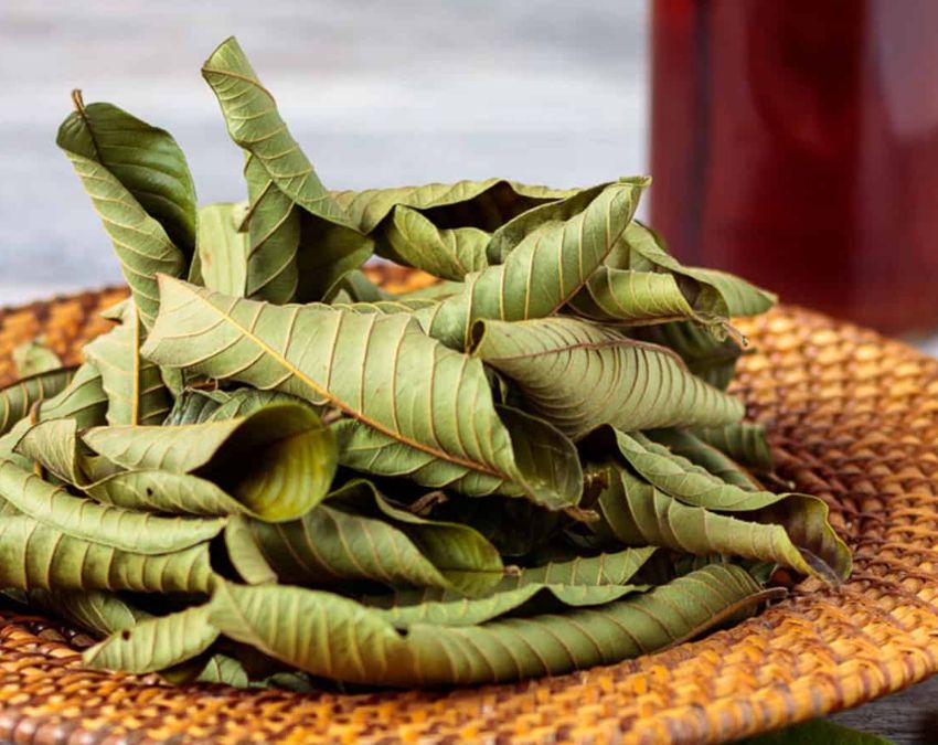 Khali pet Amrood Ki Patti Khana-1-2-3