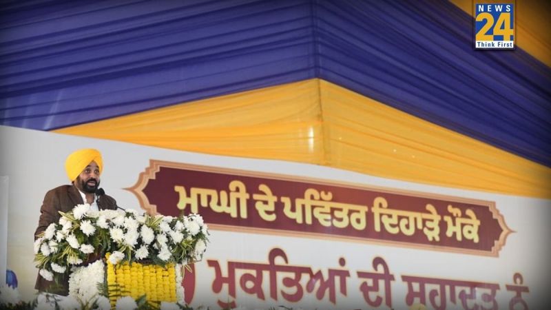 Untitled design (61)