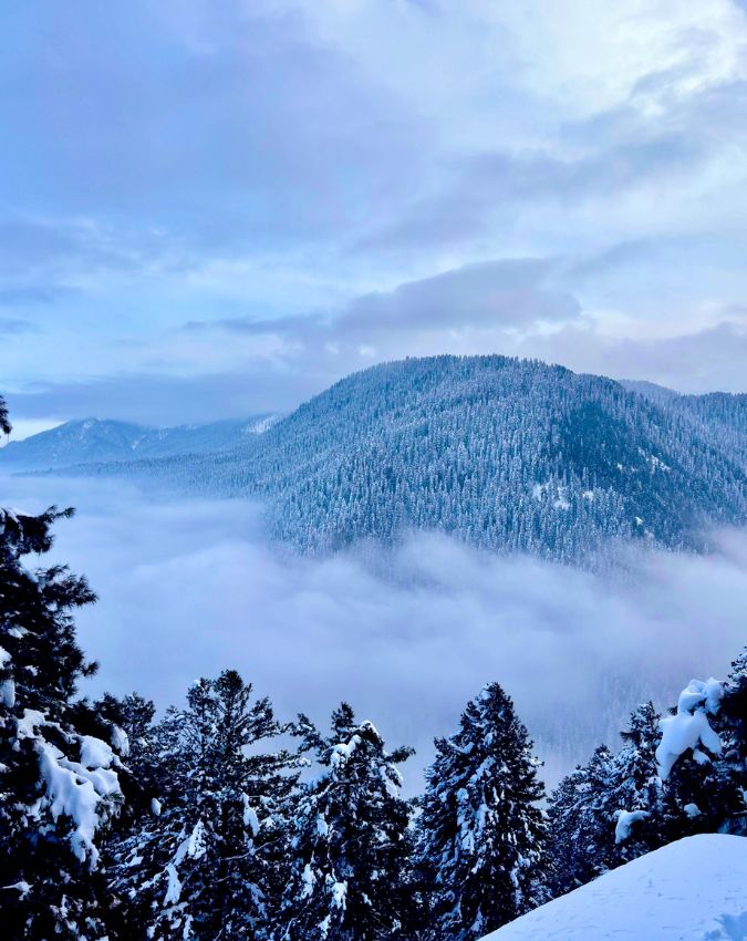 Winter Snowfall-1-2-3