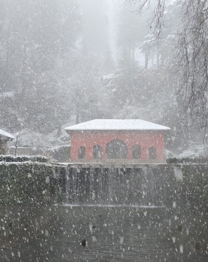 Winter Snowfall-1-2-3-4