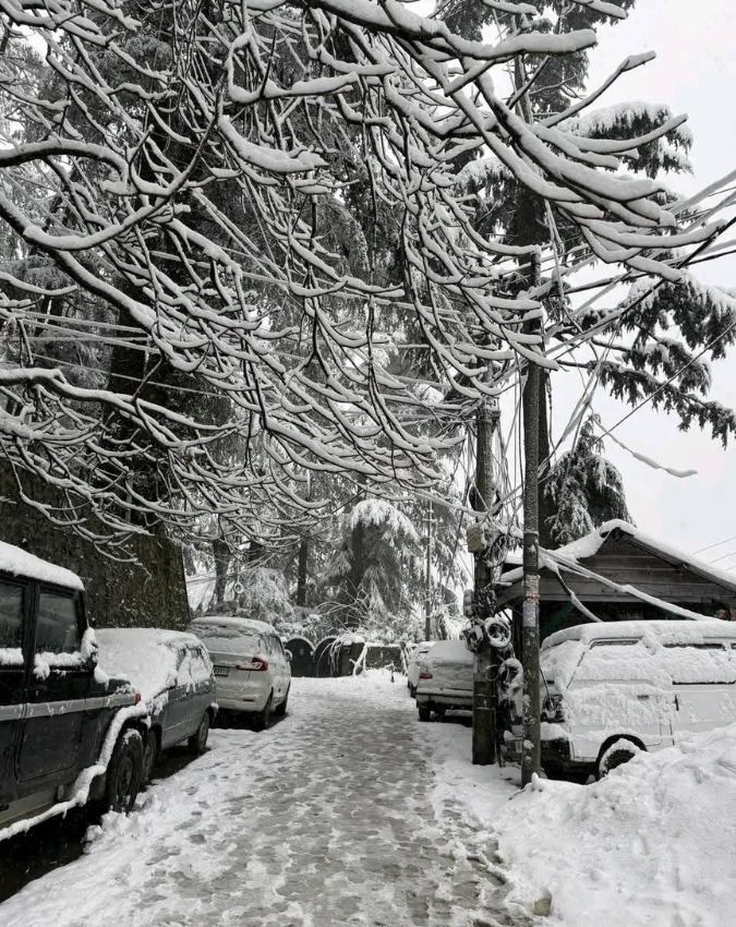 Winter Snowfall-1-2-3-4-5