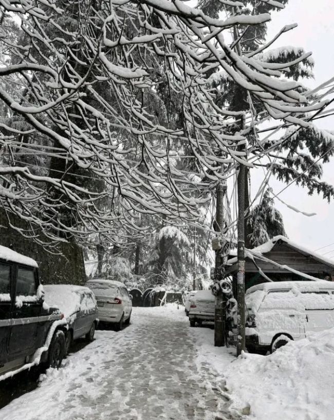 Winter Snowfall-1-2-3-4-5