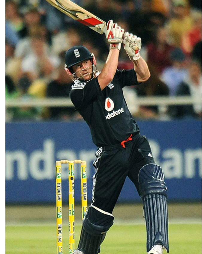 David Warner -1-2-3-4-5-6