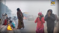 Delhi Weather Forecast