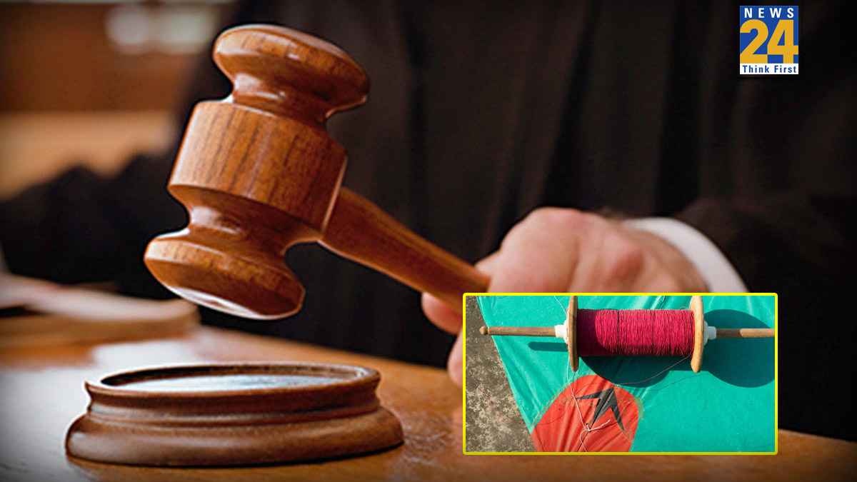जब कोर्टरूम में मांझे से काटी गई पेंसिल, HC में लाइव डेमो देख सन्न रह गए जज, बोले- अब पतंगबाजी ही बैन करेंगे