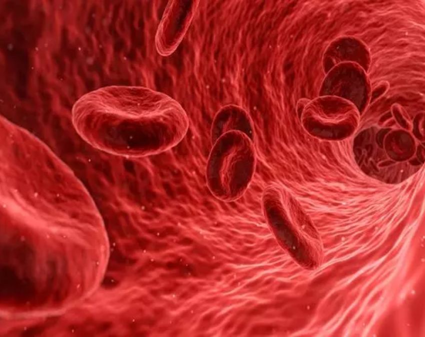 empty stomach cardamom benefits-1-2-3-4-5