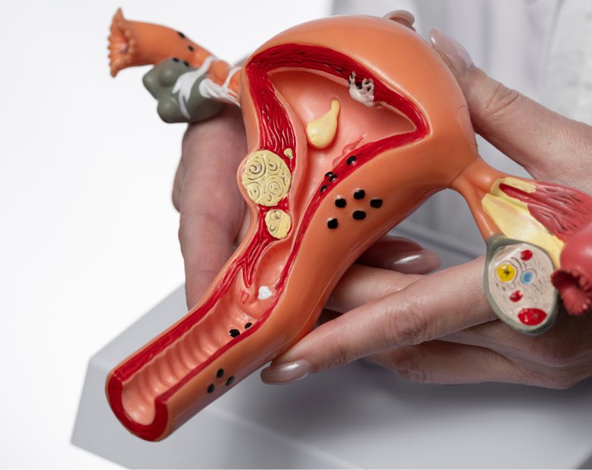 Hair Fall Causes-1-2-3-4-5