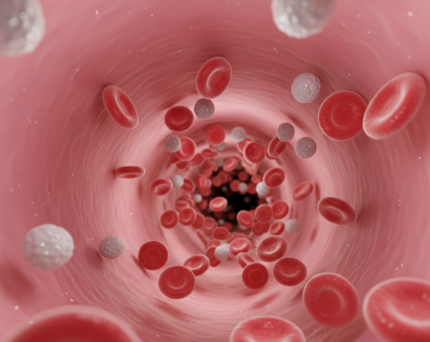 Hair Fall Causes-1-2-3