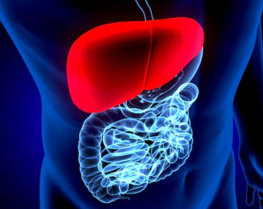 Liver Inflammation-1-2-3-4