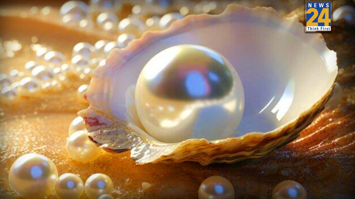 moti-pahanane-ke-niyam-1