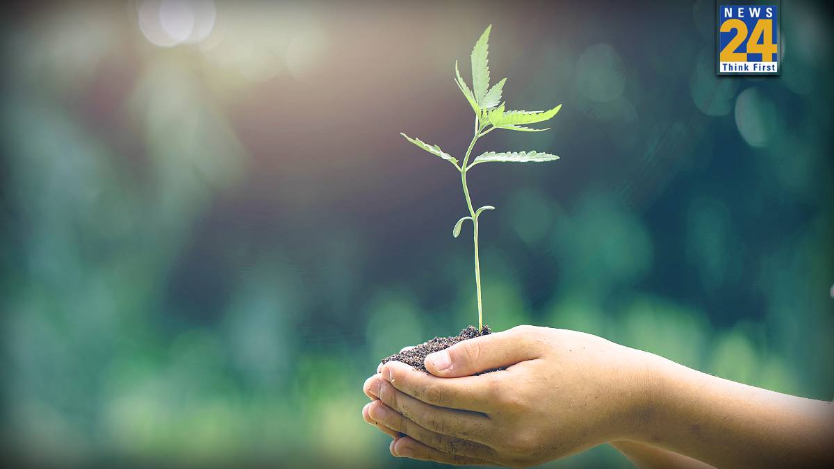 neem astro benefits neem-astro-benefits-1