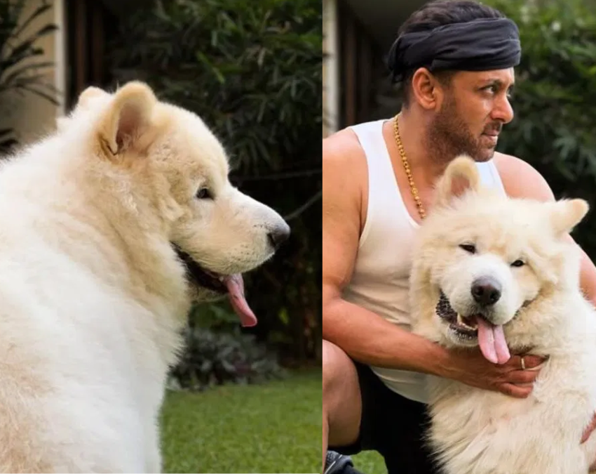 salman khan pet sukh-1-2-3-4-5