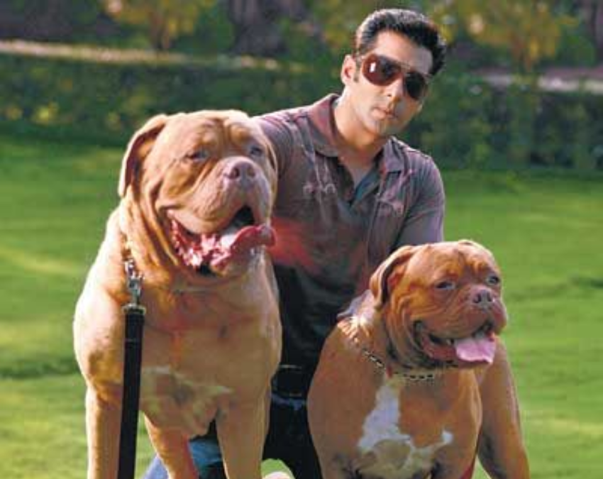 salman khan pet sukh-1-2