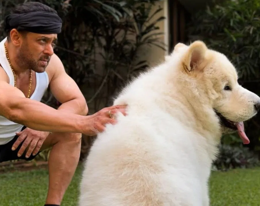 salman khan pet sukh-1-2-3-4