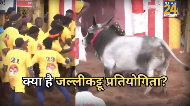jallikattu