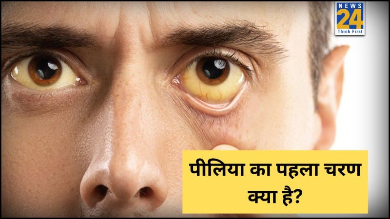 pelia kaha dikhai deta hai