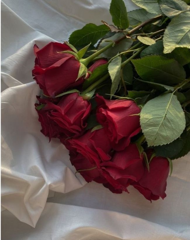 most expensive roses in the world-1-2