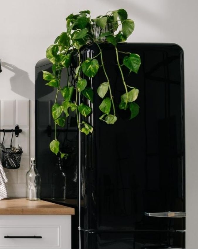 FRIDGE.jpg FRIDGE-1-2-3