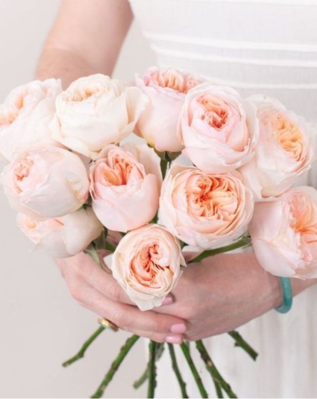 most expensive roses in the world-1-2-3-4-5-6-7