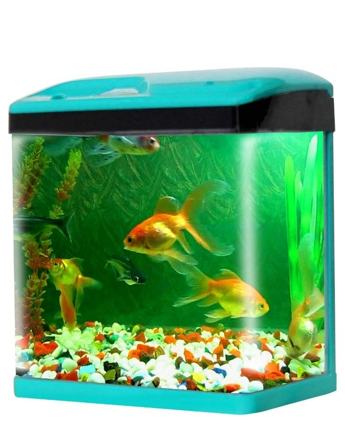 FRIDGE.jpg FRIDGE-1-2-3-4-5