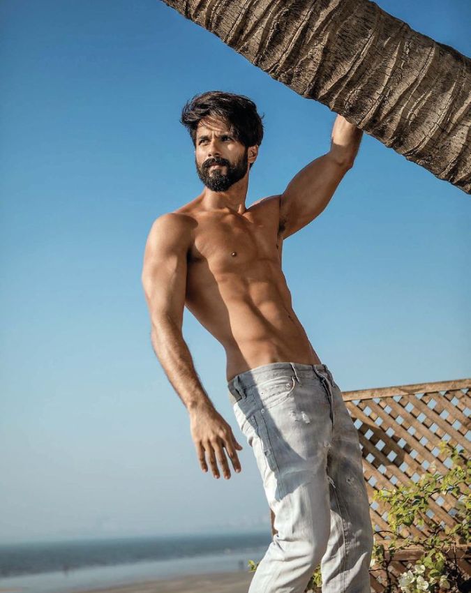 Shahid Kapoor fitness secret-1-2-3-4-5-6-7-8