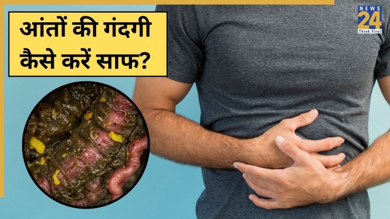 Aant Ki Gandagi Kaise Kare Saaf