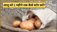Aloo Kaise Store Kare